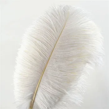 Wholasale Elegantno Belo Noja, Perje za Obrt 15-75 cm svate Dobave Karneval Plesalka Dekoracijo plumas Plumages