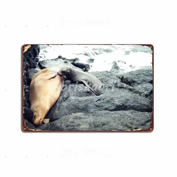 Zdravstvene Nege Sea Lion Kovinski Znaki Plošče Stena Zidana Dnevna Soba Tiskanje Kovin Plakati